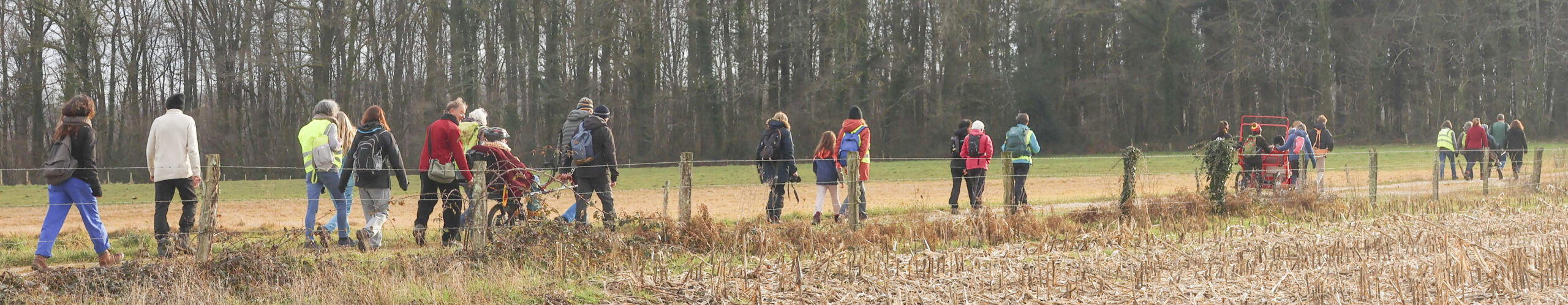 Groupe de personnes qui font une randonnée